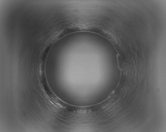 X0000076050740200610061509