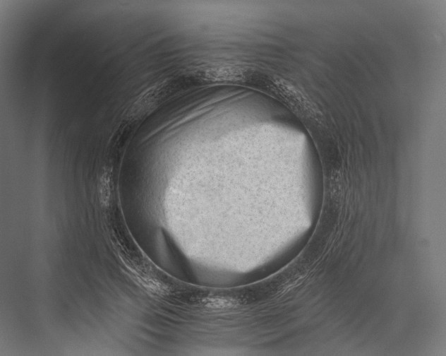 X0000076050741200610061509