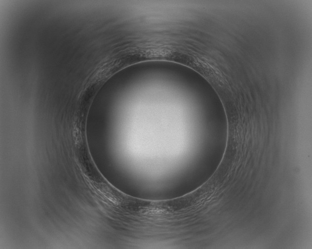 X0000076050743200610061509