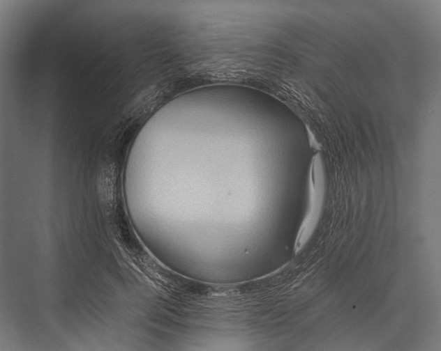 X0000076050744200610061509