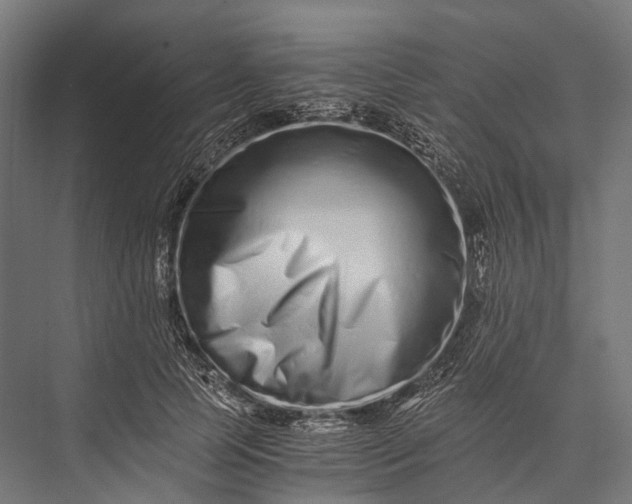 X0000076050745200610061509