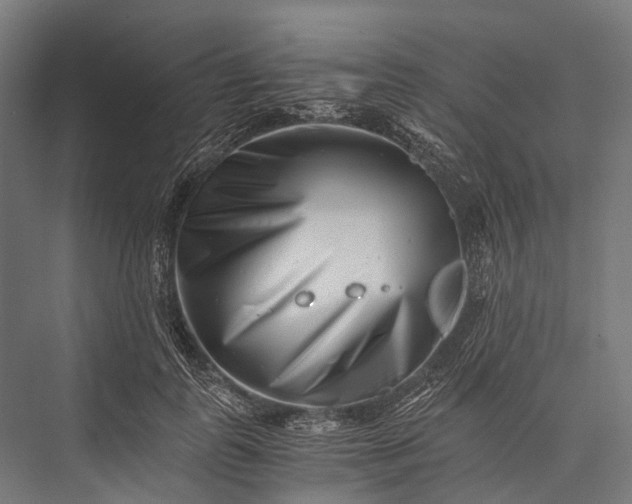 X0000076050747200610061509