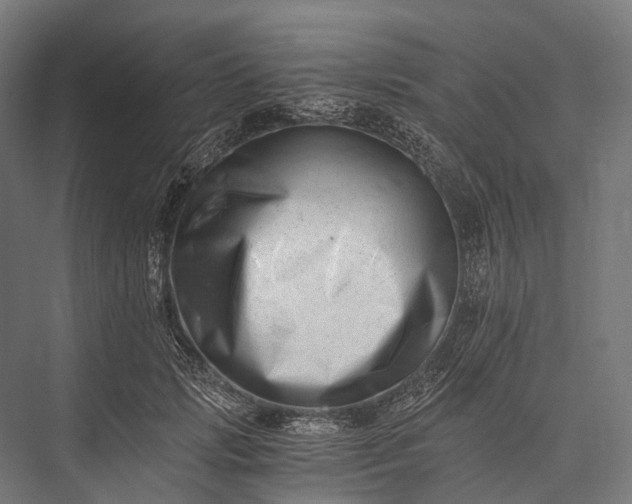 X0000076050749200610061510