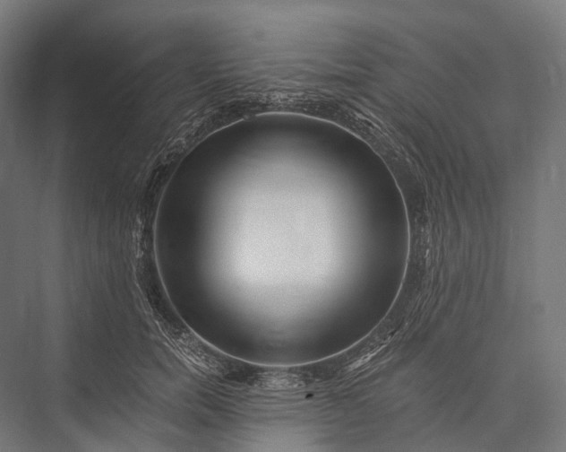 X0000076050750200610061510
