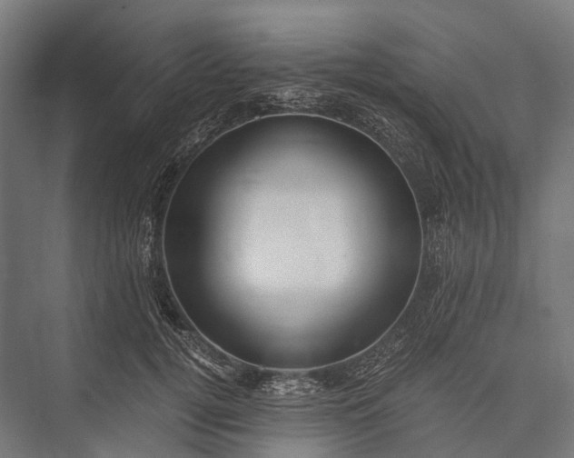 X0000076050752200610061510