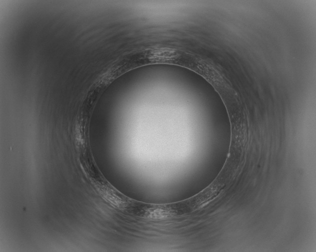 X0000076050755200610061510