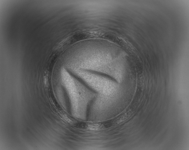 X0000076050757200610061510
