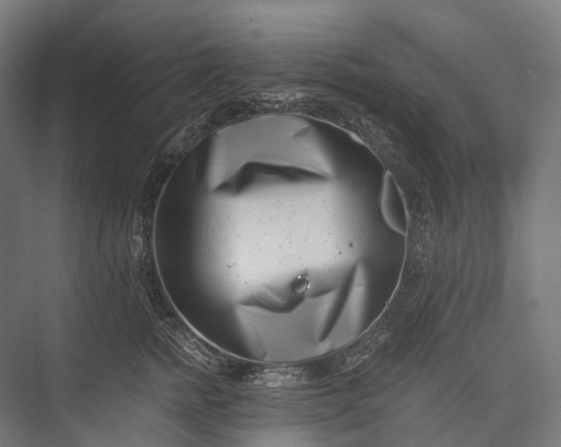 X0000076050758200610061510
