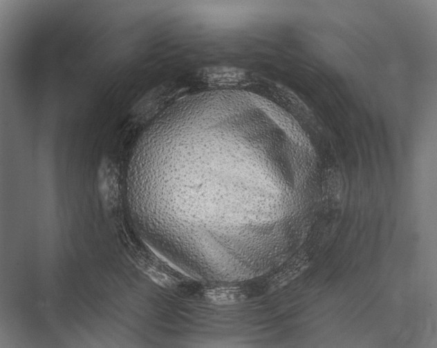 X0000076050761200610061510