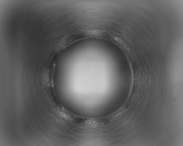 X0000076050764200610061510