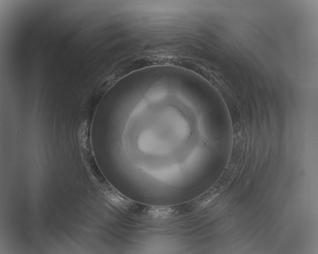 X0000076050767200610061510