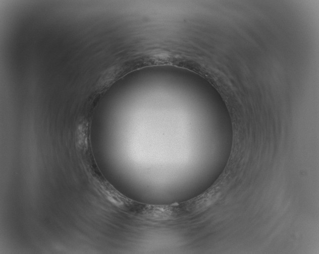 X0000076050768200610061510