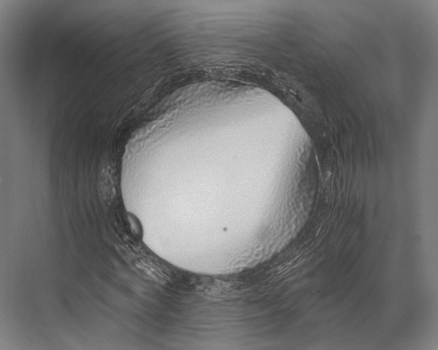 X0000076050772200610061509