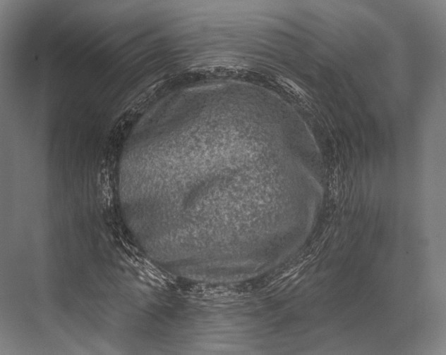 X0000076050774200610061509
