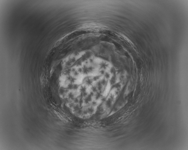 X0000076050775200610061509