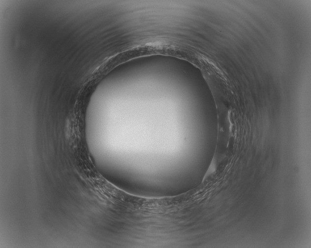 X0000076050776200610061509