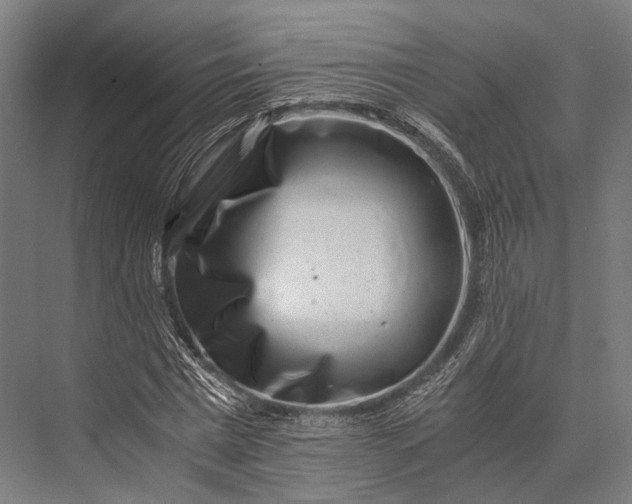 X0000076050777200610061509