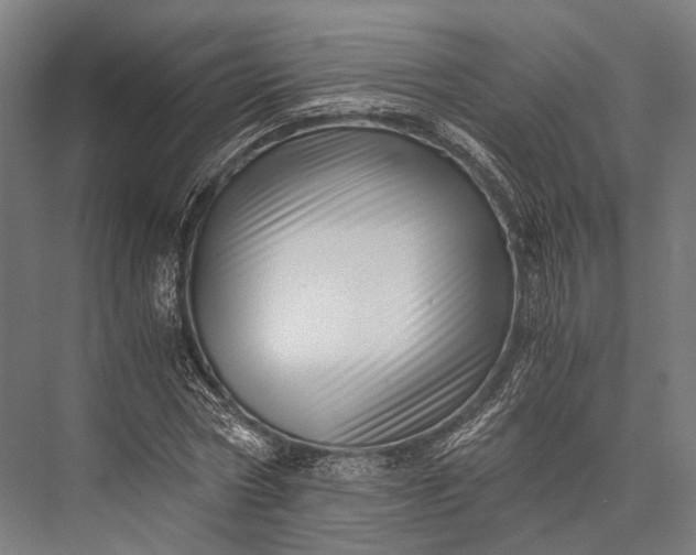 X0000076050778200610061509