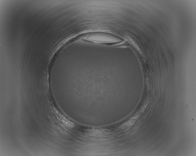 X0000076050781200610061509