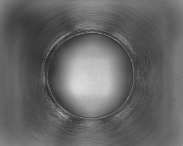 X0000076050782200610061509