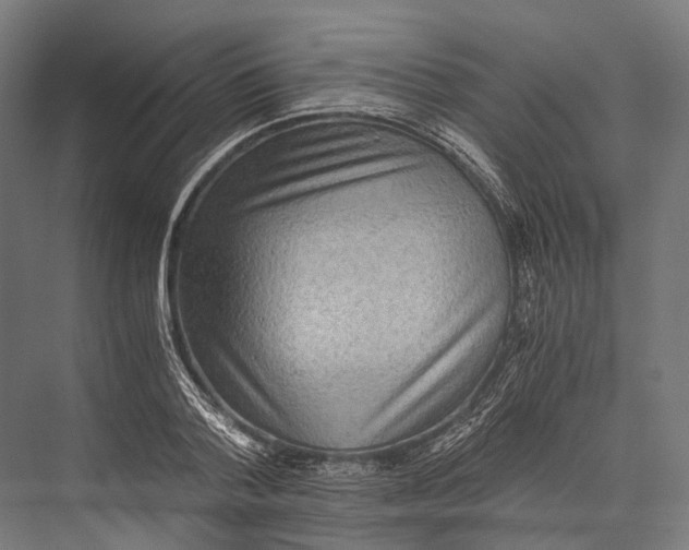 X0000076050788200610061509