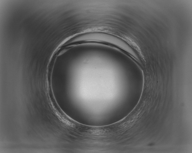 X0000076050792200610061509