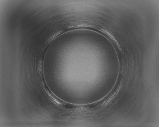 X0000076050793200610061509