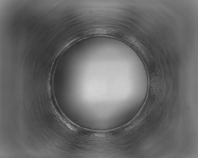 X0000076050794200610061509
