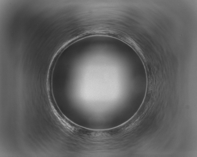 X0000076050795200610061509