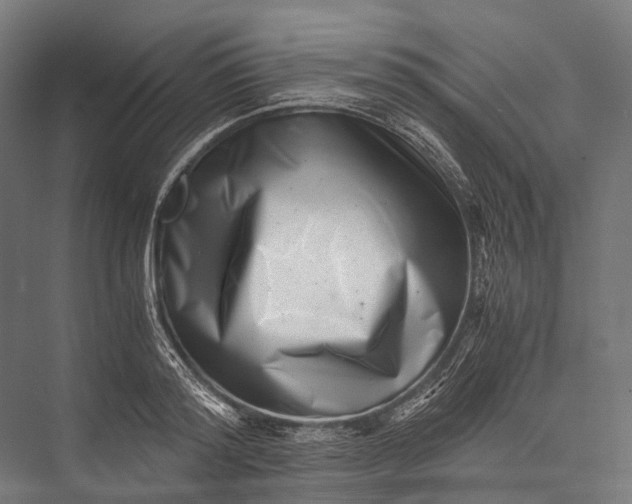 X0000076050796200610061509