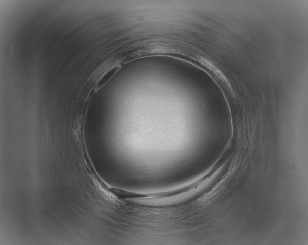 X0000076050801200610061508