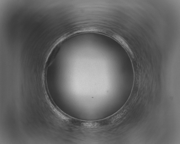 X0000076050805200610061508