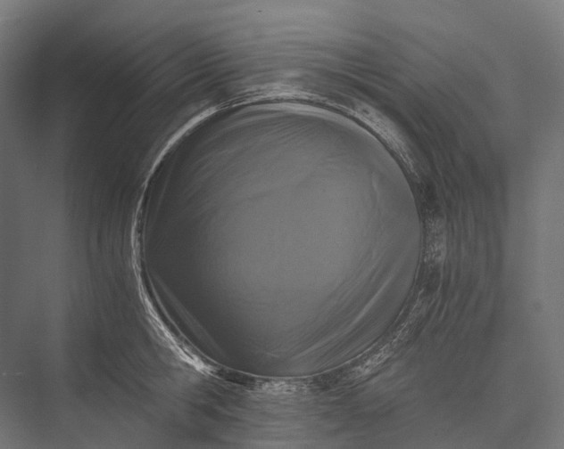 X0000076050806200610061508