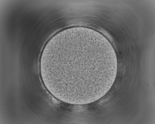 X0000076050807200610061508
