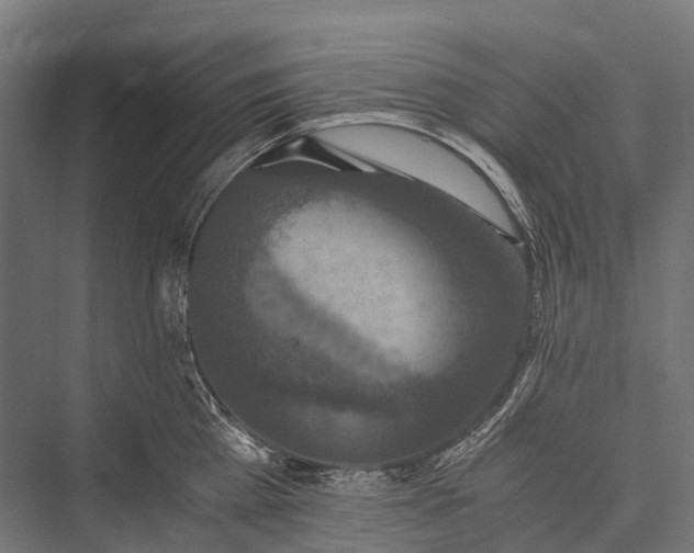 X0000076050809200610061508