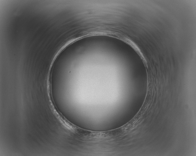 X0000076050811200610061508