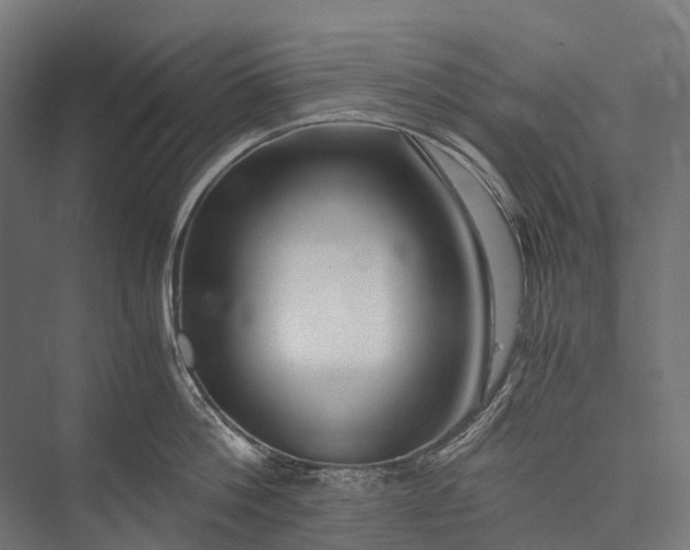X0000076050812200610061508