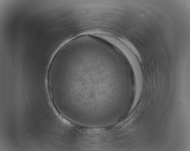 X0000076050813200610061508