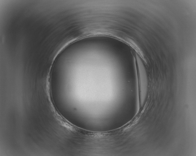 X0000076050814200610061508