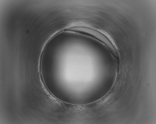 X0000076050815200610061508