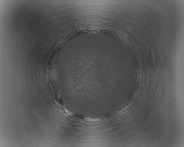 X0000076050818200610061507