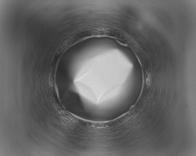 X0000076050819200610061507