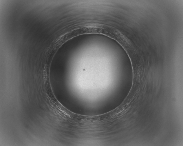 X0000076050821200610061507