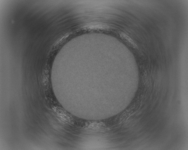 X0000076050824200610061508