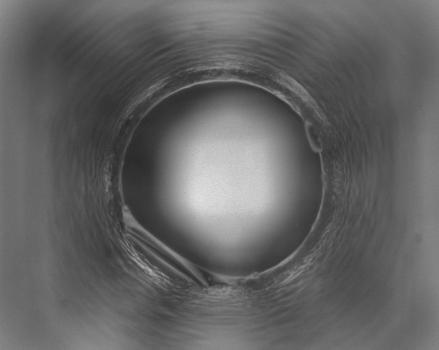 X0000076050826200610061508