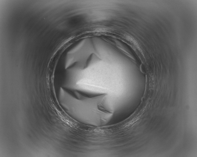 X0000076050827200610061508
