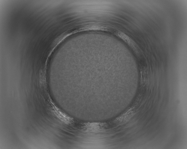 X0000076050828200610061508