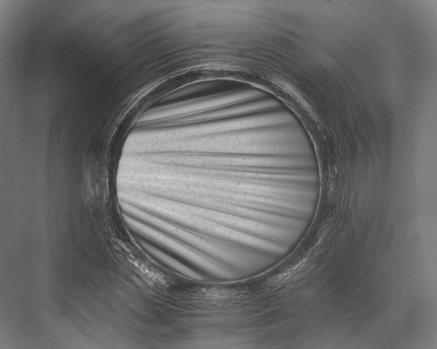 X0000076050829200610061508