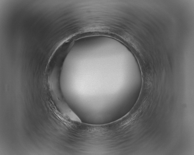 X0000076050830200610061508