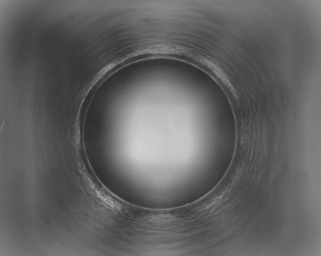X0000076050837200610061508